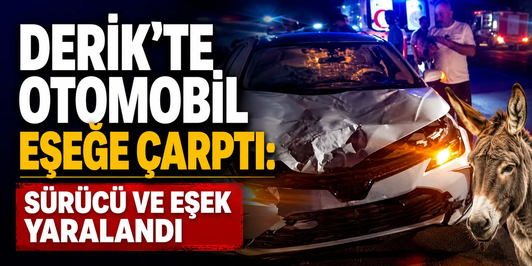 Derik'te otomobil eşeğe çarptı: Sürücü ve eşek yaralandı