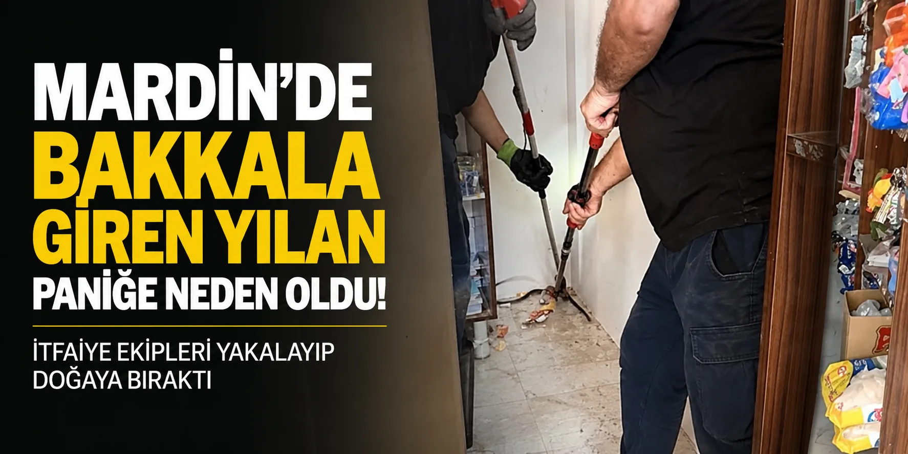 Bakkala giren yılan paniğe neden oldu! İtfaiye ekipleri yakalayıp doğaya bıraktı