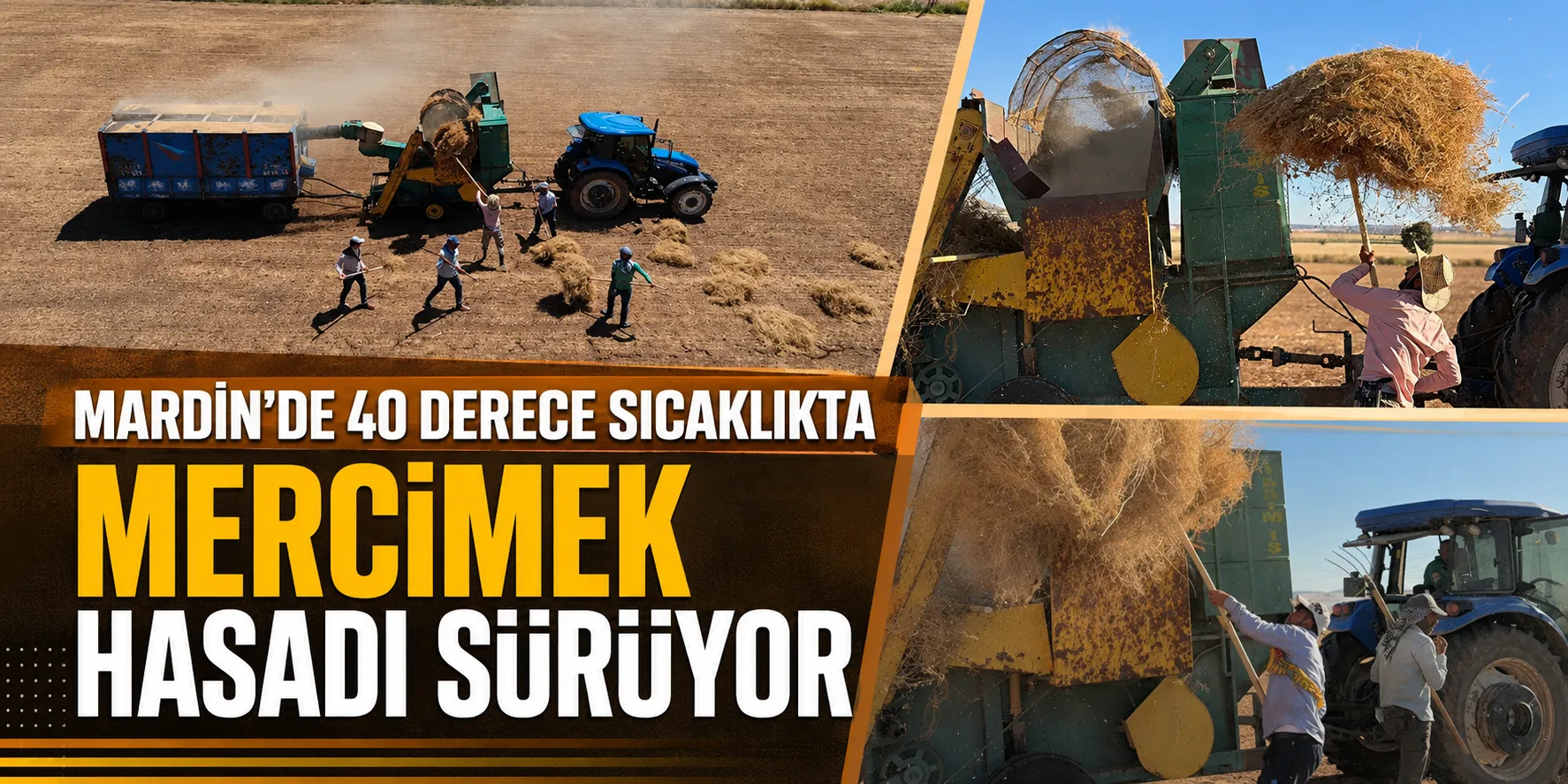 Mardin'de 40 derece sıcaklıkta mercimekhasadı sürüyor